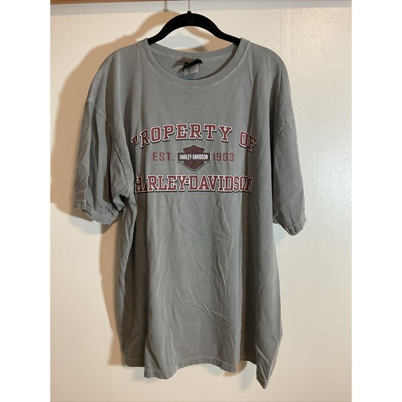 Harley Davidson Men’s XL Gray T Shirt Short Sleeve Graphic Fairbanks Alaska - Picture 1 of 10